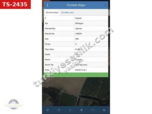 AĞIRNASTA 9.984 M² TARLA KADASTRO YOLUNA SIFIR SATILIK